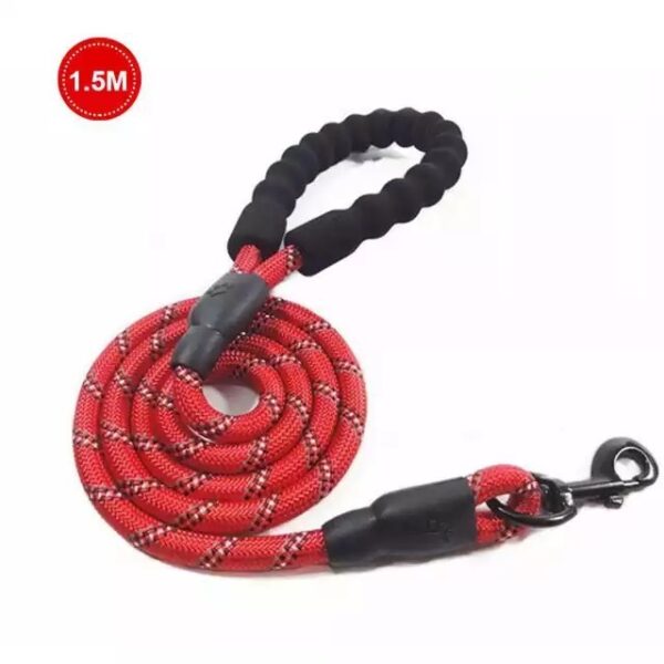 Small Medium Sized Pet Dog Luminous Leash Chain Puppies - Image 10